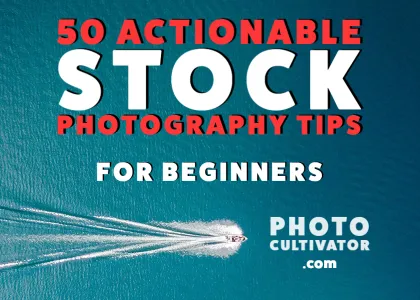 50 Game-Changing Stock Photography Tips for Beginners: Elevate Your Images in 2024