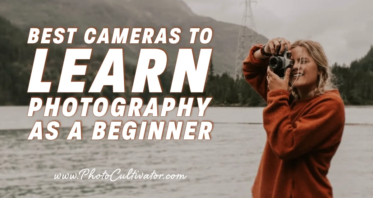 Best Cameras for Beginners to Learn Photography