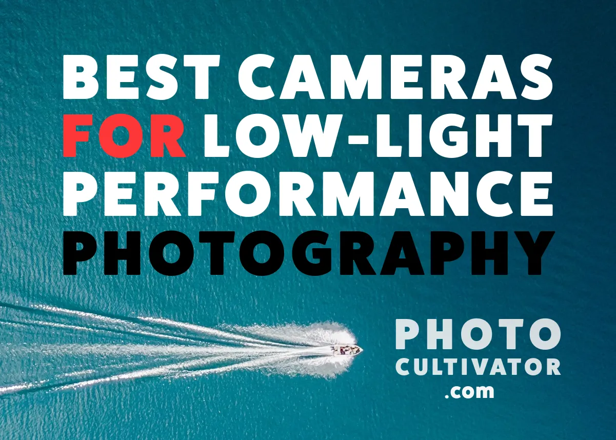 Top Cameras for Performance Photography in Low-Light Settings