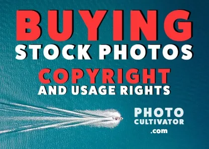 The Ultimate Guide to Buying Stock Photos: Copyright, Licenses, and Best Practices in 2024
