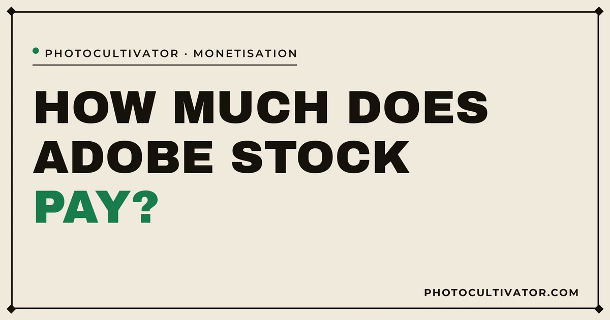 How Much Does Adobe Stock Pay Contributors in 2026?