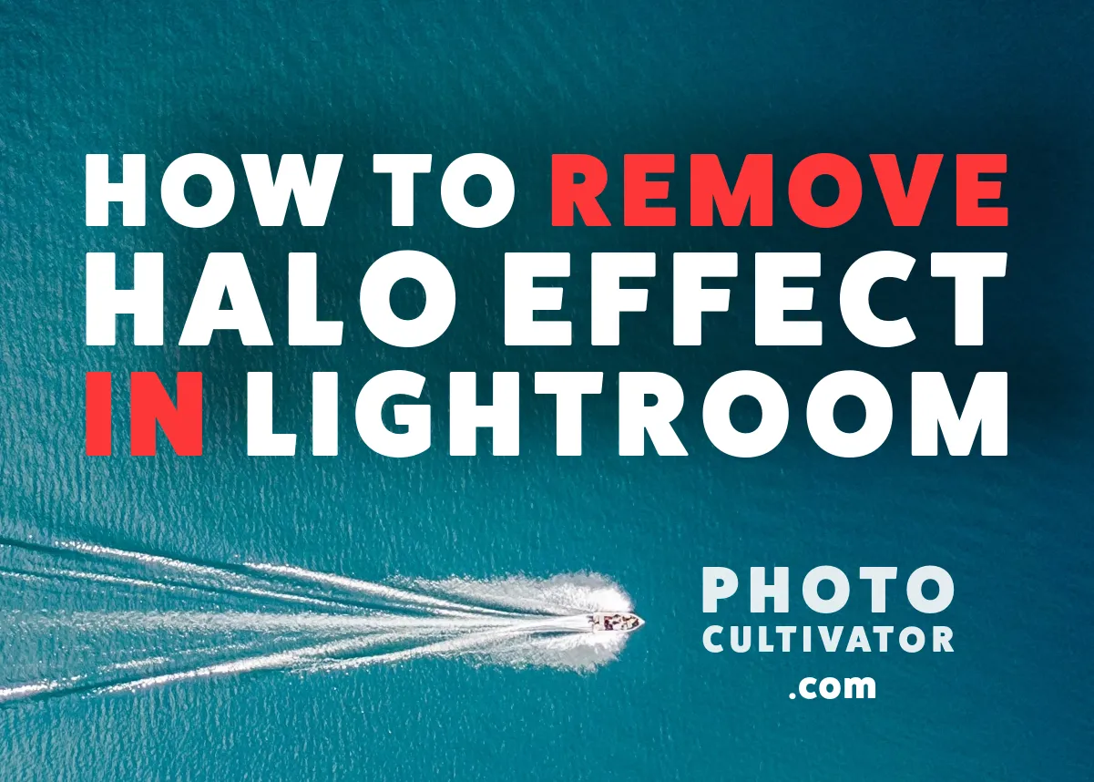 Tackling the Halo Effect: Lightroom Editing Tips for Architectural Photography