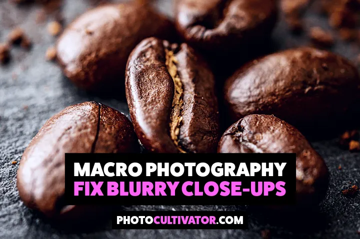 Macro Photography: Fix Blurry Close-Ups (MFD Guide)