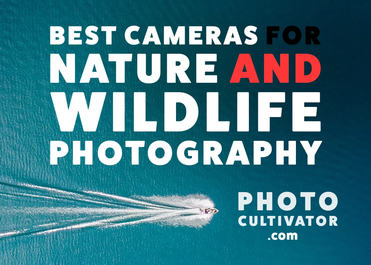 Best Budget Wildlife Cameras (2025): Top 7 Picks Under $1000 + Lens Kits
