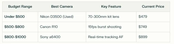 Three-tier budget wildlife camera guide showing Nikon D3500 (Under $500), Canon R10 ($500-$800), and Sony a6400 ($800-$1000) with their key features and current pricing