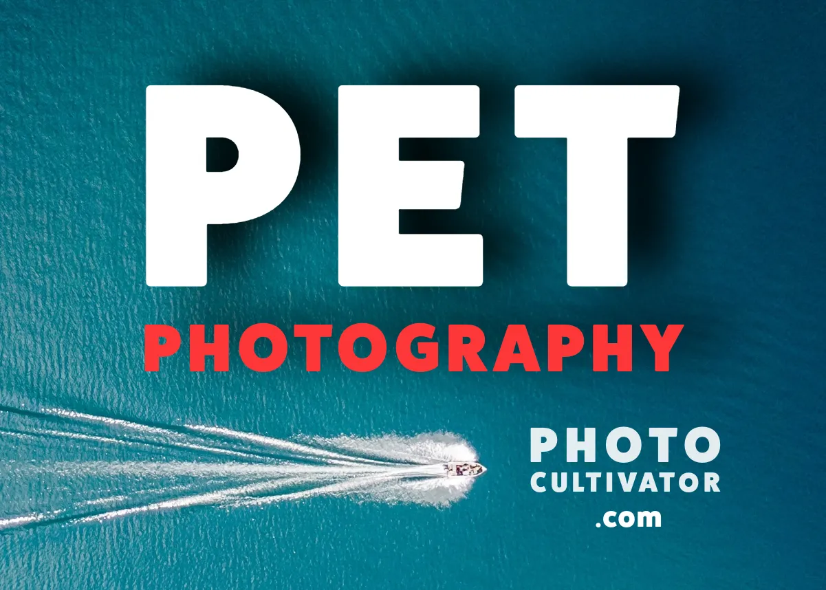 Master Pet Photography: Tips, Gear & Common Mistakes to Avoid