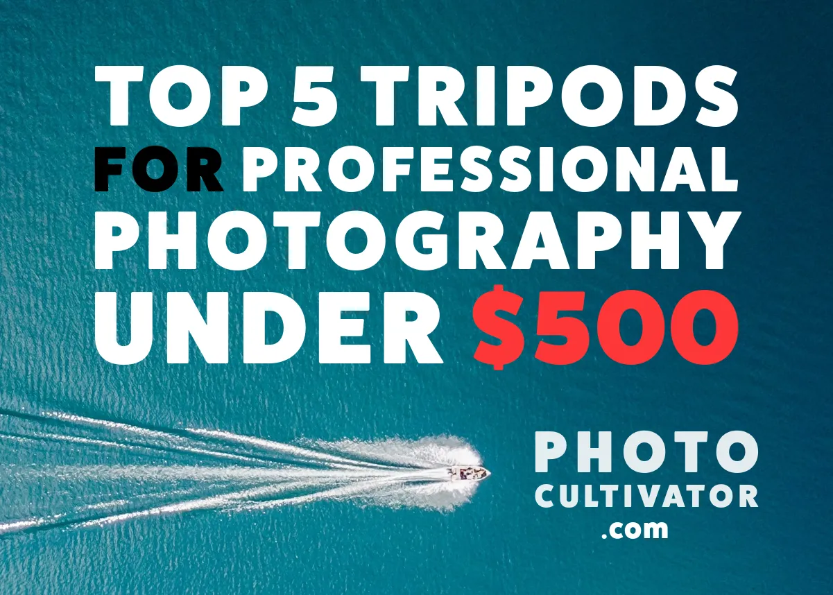 Top 5 Tripods for Professional Photography Under $500 in 2024